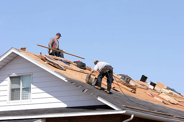 Best Rubber Roofing (EPDM, TPO)  in Alum Creek, WV